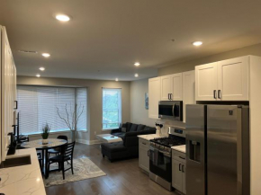 Modern 2BR 2BA Apartment with rooftop in Brewerytown